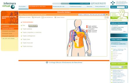 DimensionBiologica.png