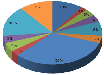 Les dades representats en aquest gràfic corresponen al percentatge de volum de negoci.